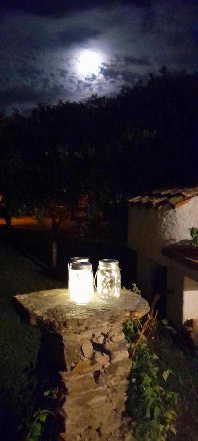 فيلا Viagramsci129 سان تيودورو المظهر الخارجي الصورة