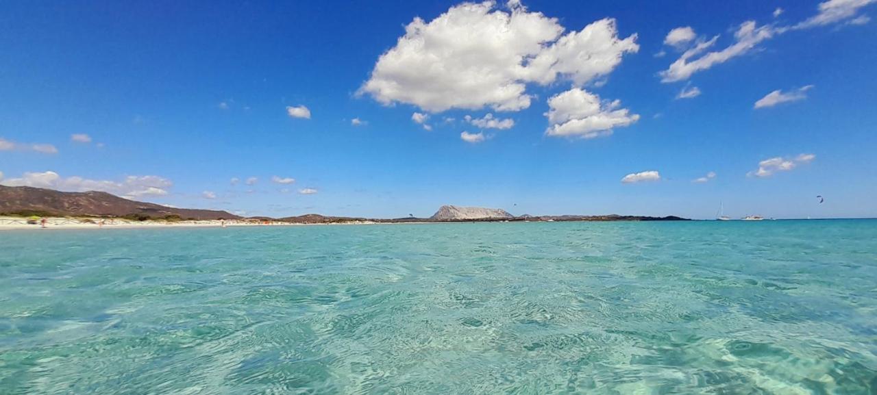 فيلا Viagramsci129 سان تيودورو المظهر الخارجي الصورة